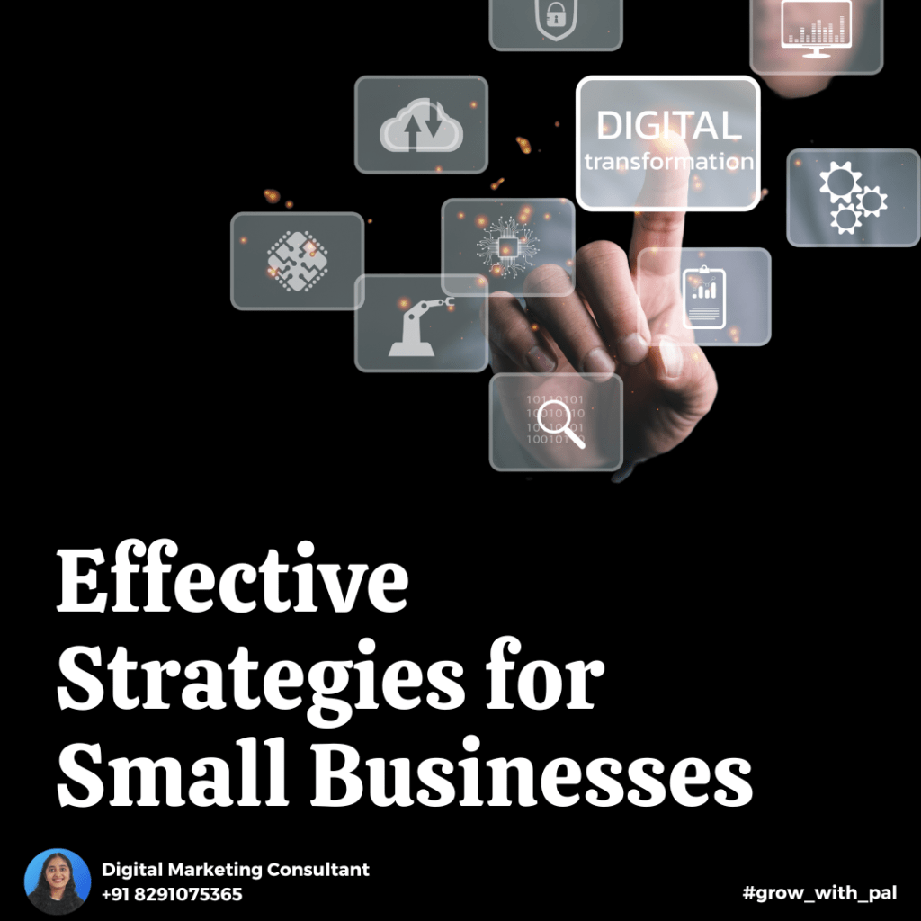 Effective Strategies for Small Businesses: Insights from a Digital Marketing Consultant